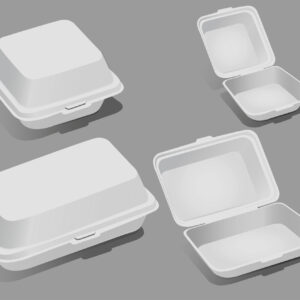 BAGASSE BHB MEAL BOXES