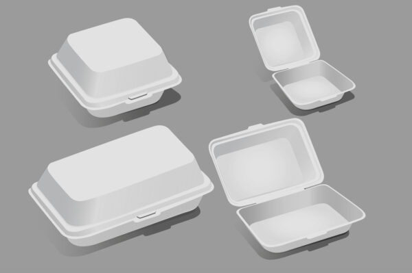 BAGASSE BHB MEAL BOXES