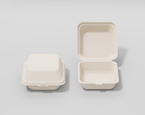 BAGASSE BHB MEAL BOXES - Image 3